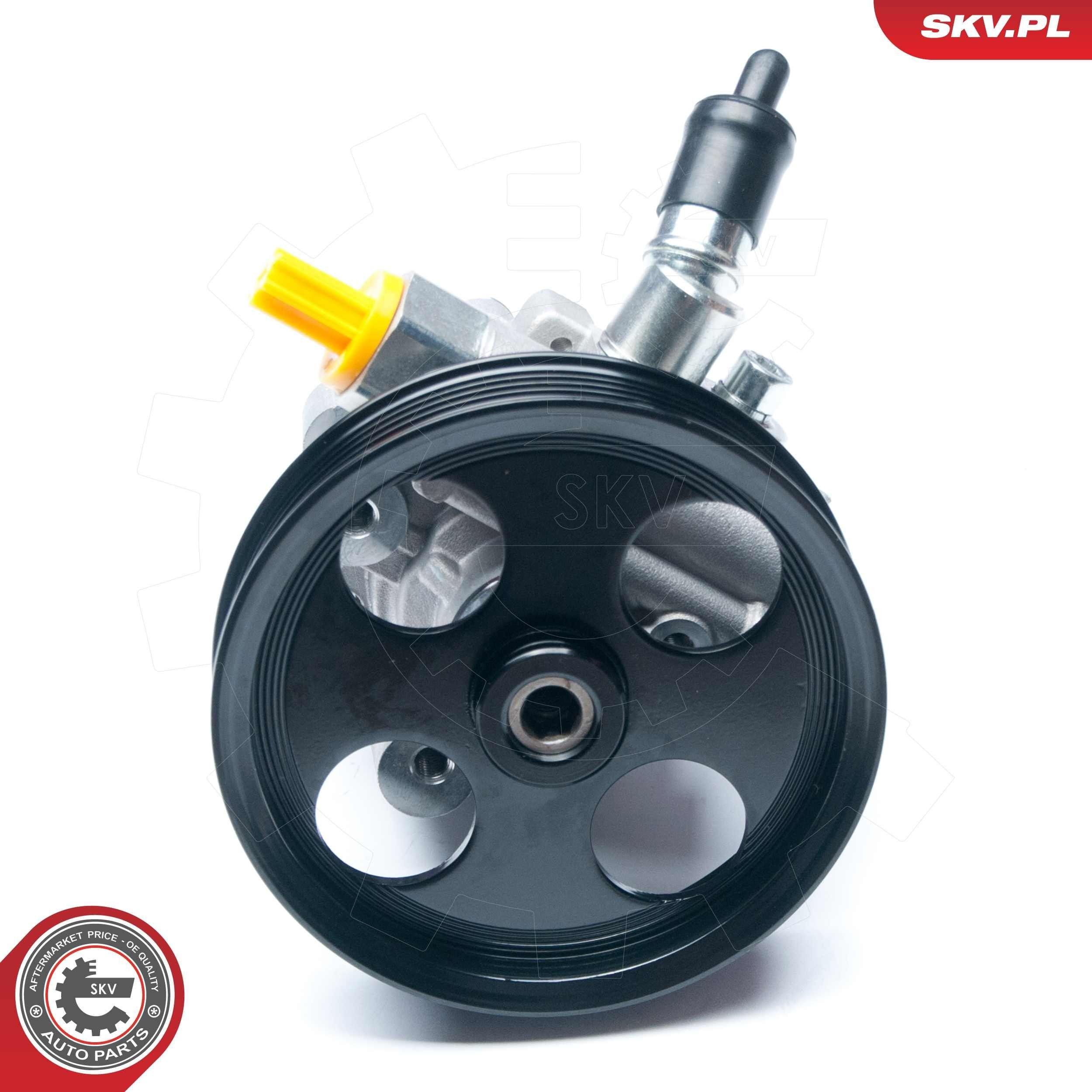10SKV195 SKV
